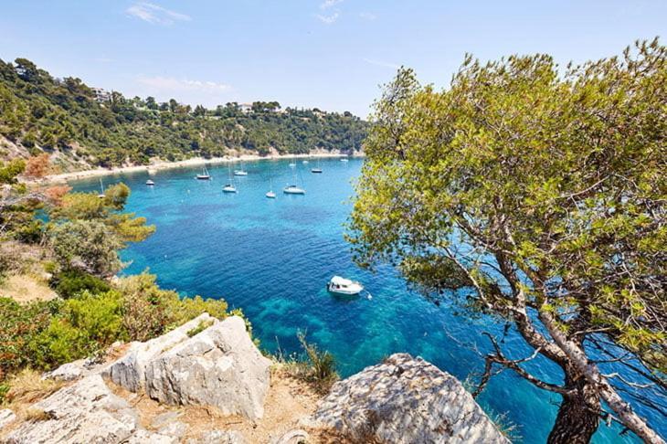 Cote D'Azur Appart Spacieux / Lumineux Tolone Esterno foto